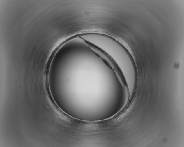 X0000090960989200708161812