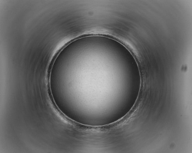 X0000090960990200708161812