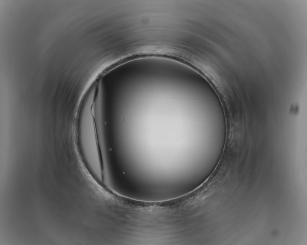 X0000090960992200708161812