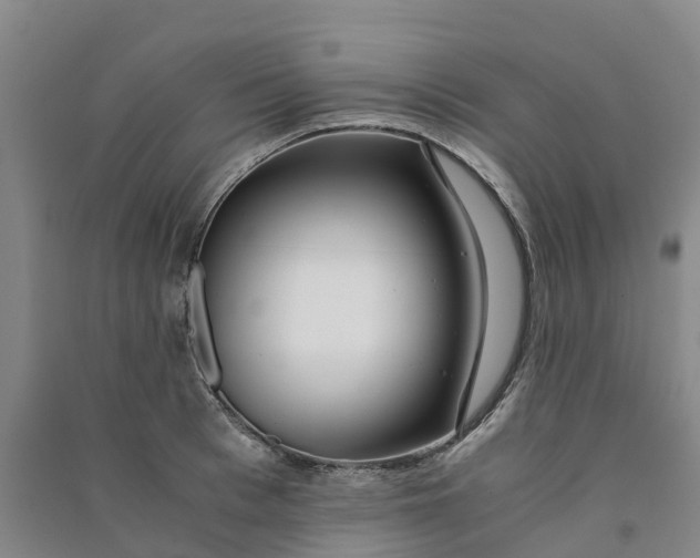 X0000090960993200708161812