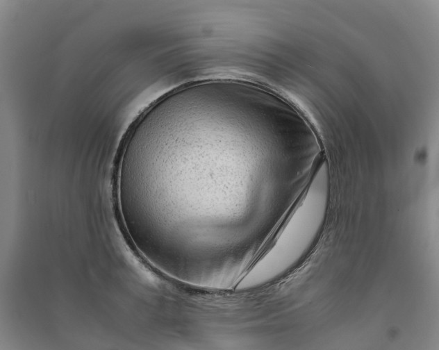 X0000090960995200708161812