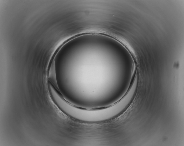 X0000090960996200708161812