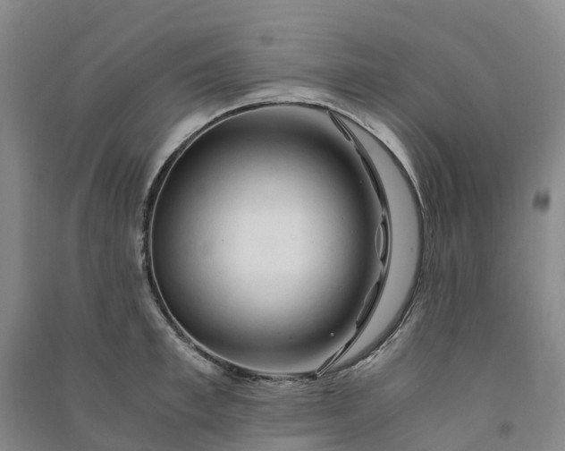 X0000090960997200708161812