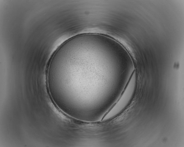 X0000090960998200708161812