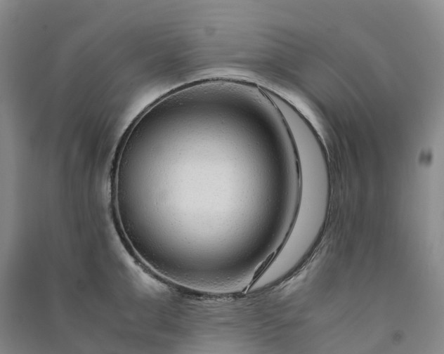 X0000090960999200708161812