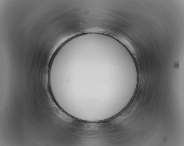 X0000090961000200708161812