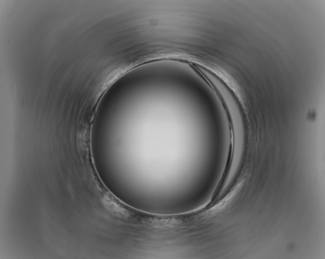 X0000090961001200708161812