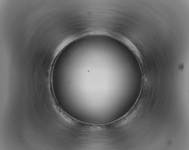 X0000090961002200708161812
