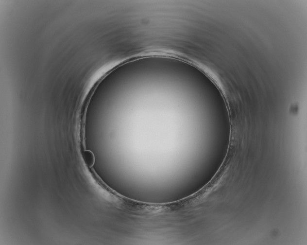 X0000090961003200708161812