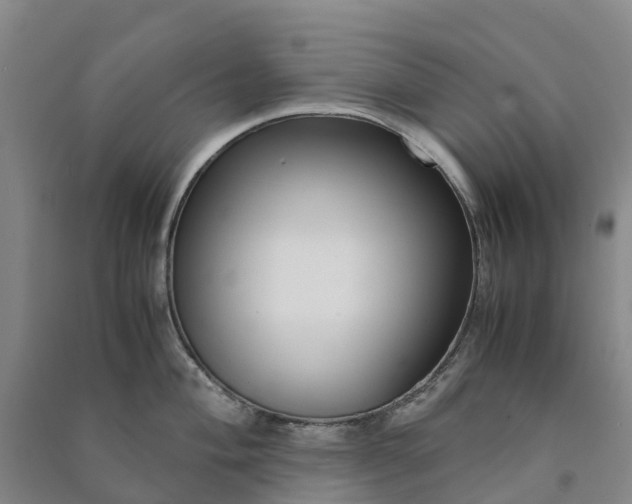 X0000090961004200708161812
