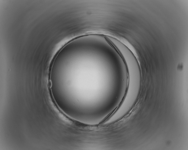 X0000090961005200708161812