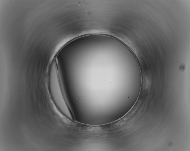 X0000090961006200708161812