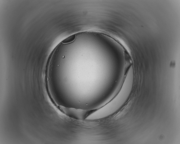 X0000090961007200708161812