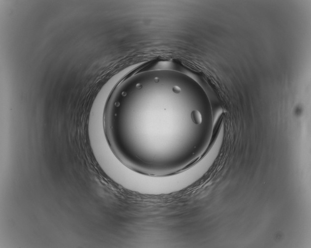 X0000090961010200708161811