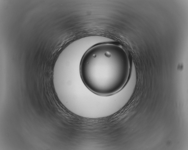 X0000090961012200708161811