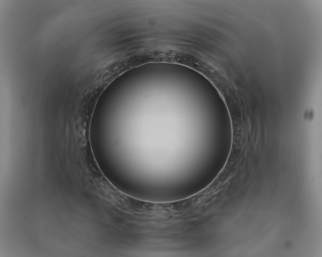 X0000090961013200708161811
