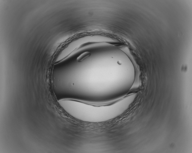 X0000090961016200708161811
