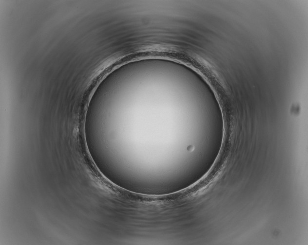 X0000090961017200708161811