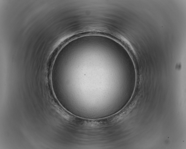 X0000090961019200708161811