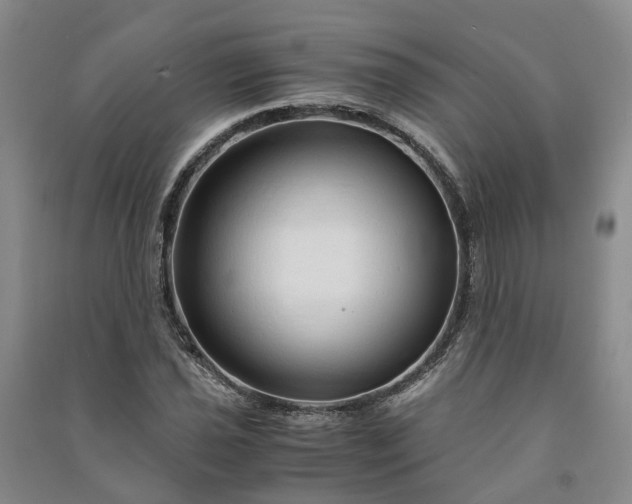X0000090961021200708161811