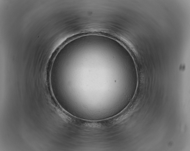 X0000090961023200708161811