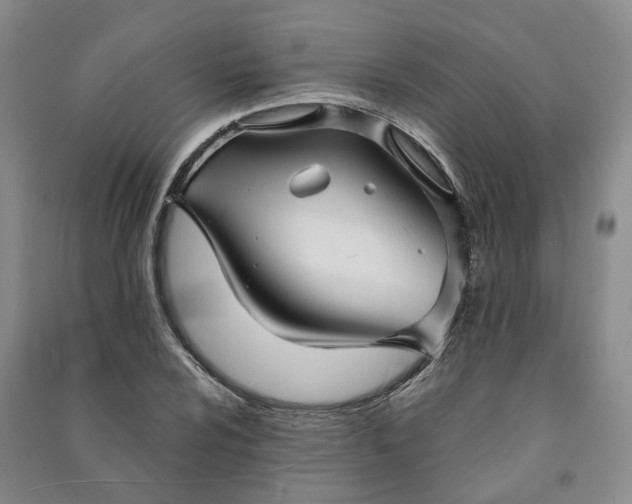 X0000090961024200708161811