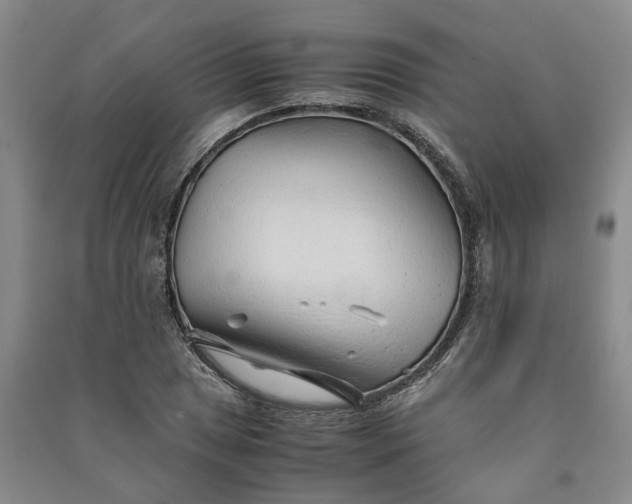 X0000090961025200708161811