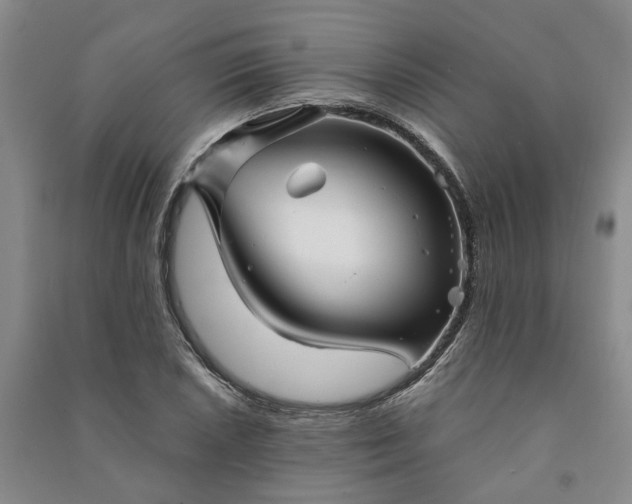 X0000090961026200708161811