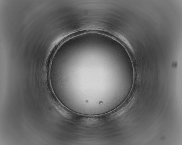 X0000090961027200708161812