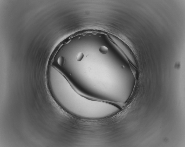 X0000090961028200708161812