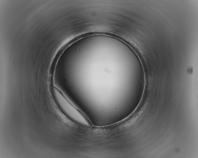 X0000090961029200708161812
