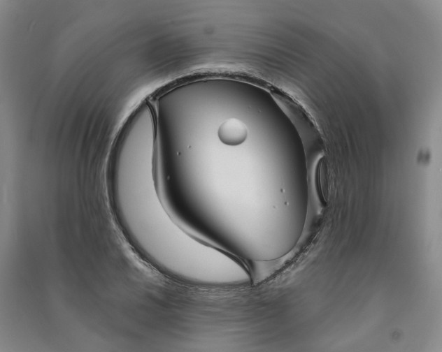 X0000090961030200708161812