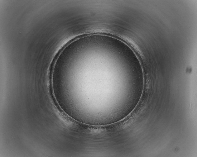 X0000090961031200708161812
