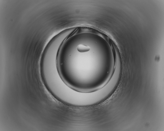 X0000090961032200708161812