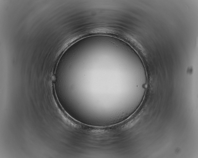 X0000090961033200708161812