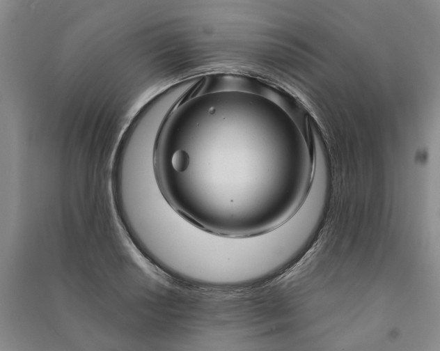 X0000090961034200708161812