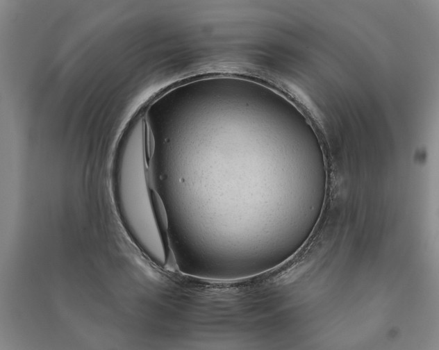X0000090961035200708161812