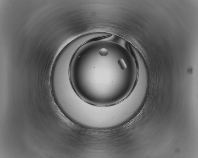 X0000090961036200708161812