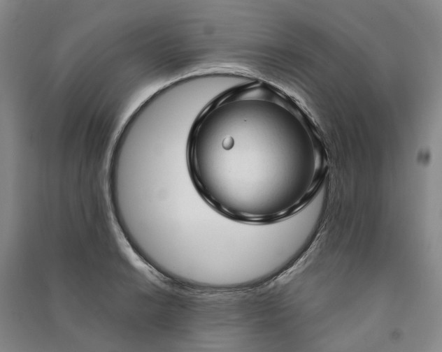 X0000090961038200708161812