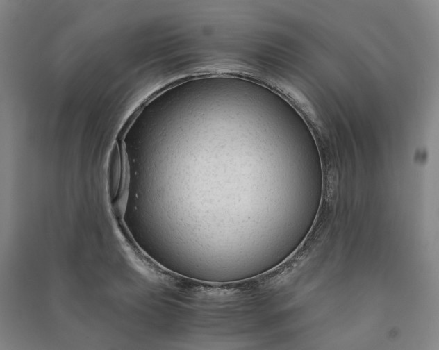X0000090961039200708161812