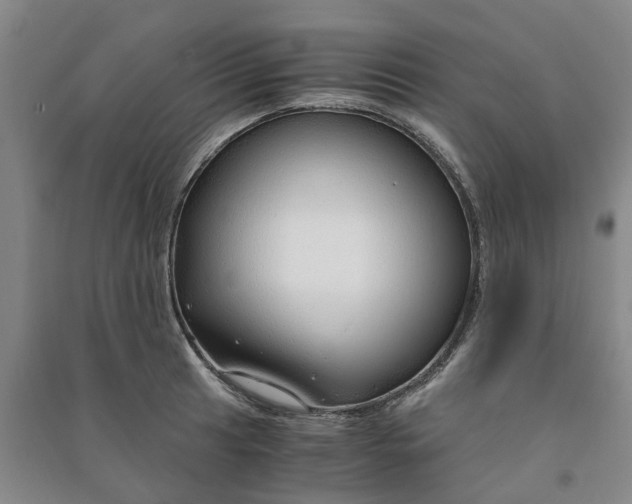 X0000090961041200708161812