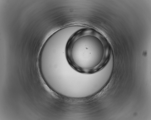 X0000090961042200708161812
