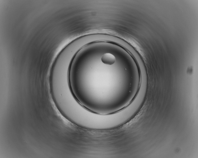 X0000090961046200708161812