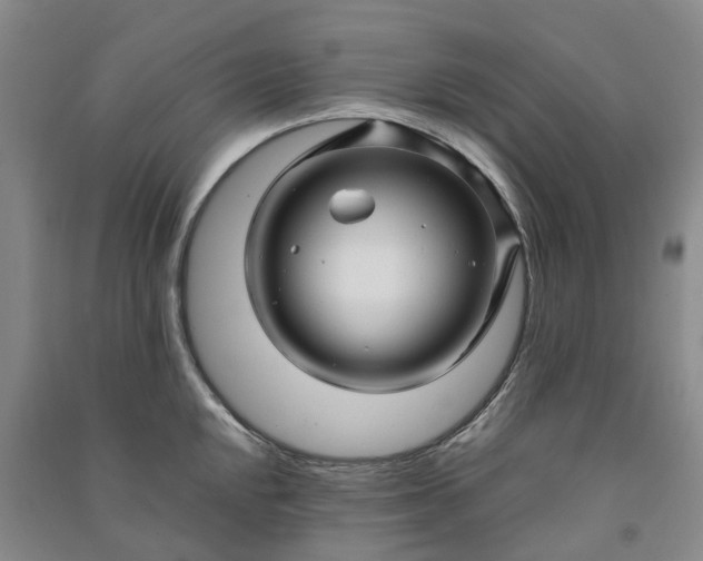 X0000090961048200708161812