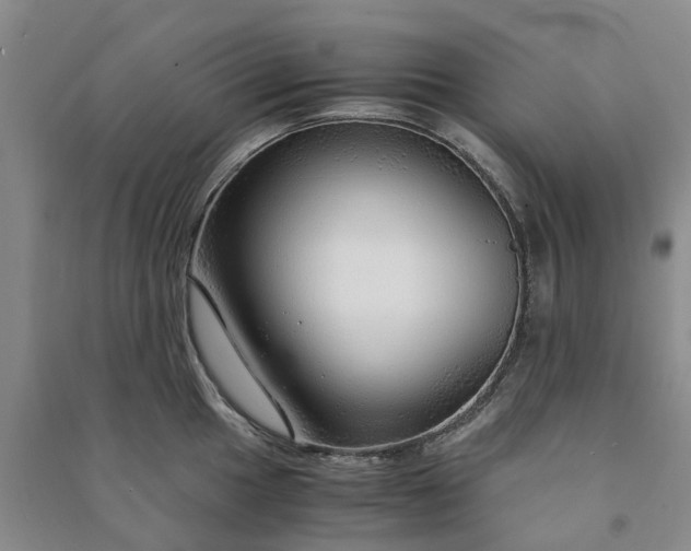 X0000090961049200708161812
