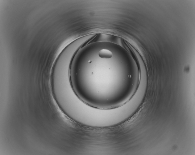 X0000090961050200708161812