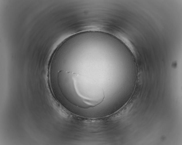 X0000090961051200708161812