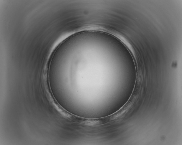 X0000090961053200708161812