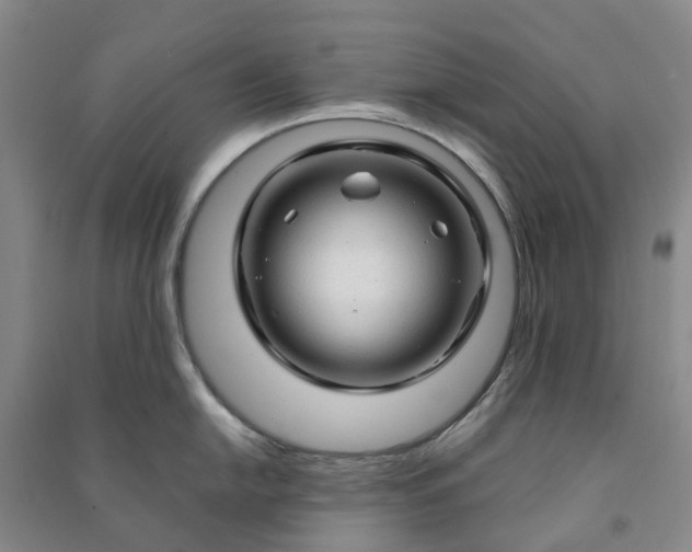 X0000090961054200708161812