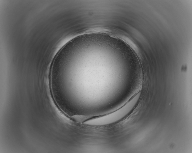 X0000090961055200708161812